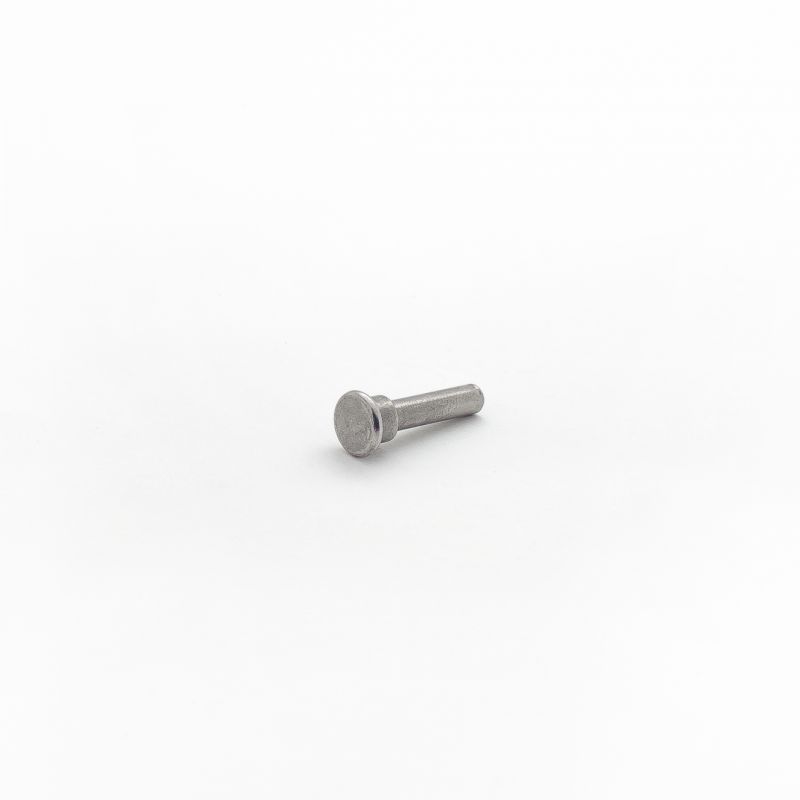 rivet6